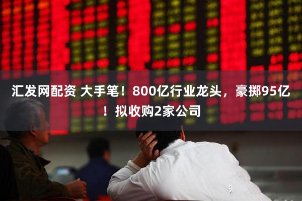 汇发网配资 大手笔！800亿行业龙头，豪掷95亿！拟收购2家公司